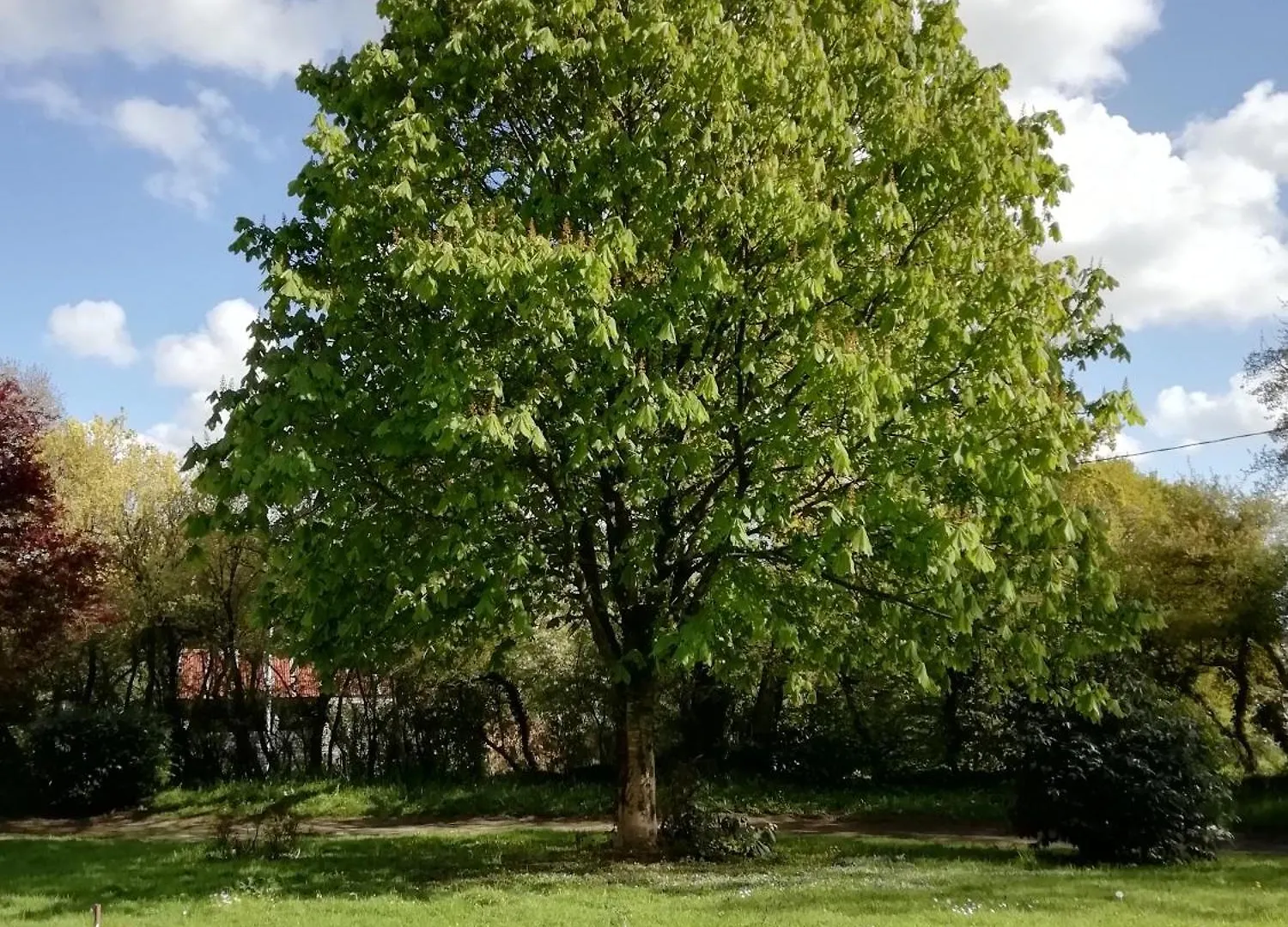 Maisonnette A La Campagne La Couyère Franciaország
